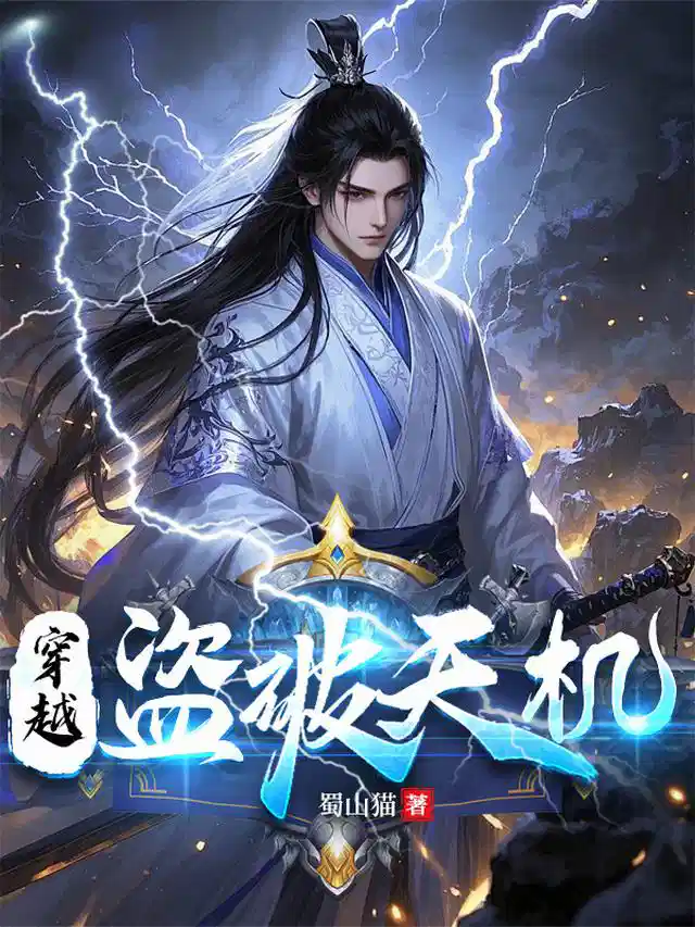 穿越：盗破天机